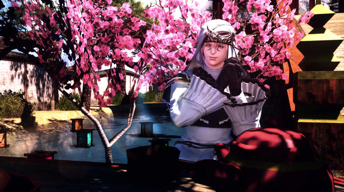 Doman Picnic 2